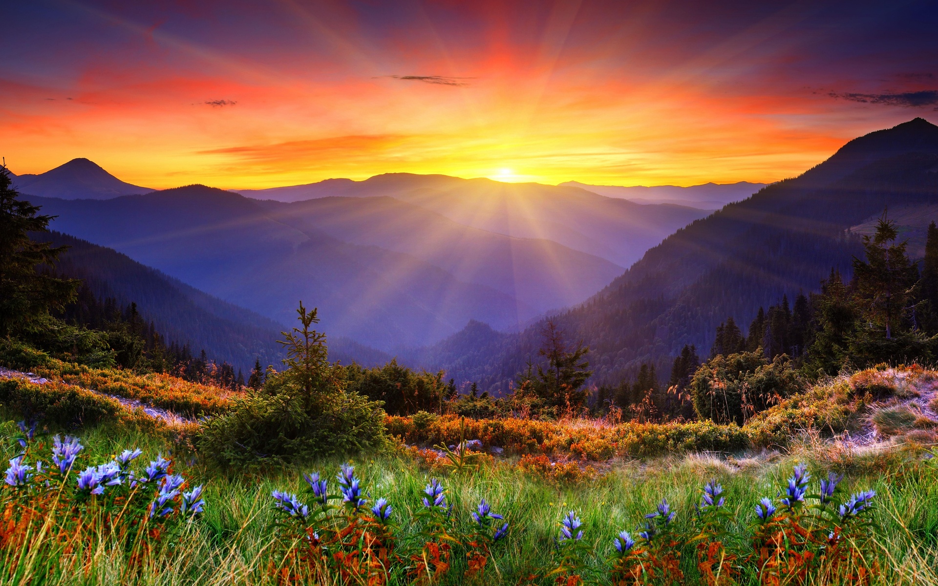 scenic