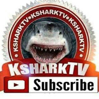 KSHARK IG