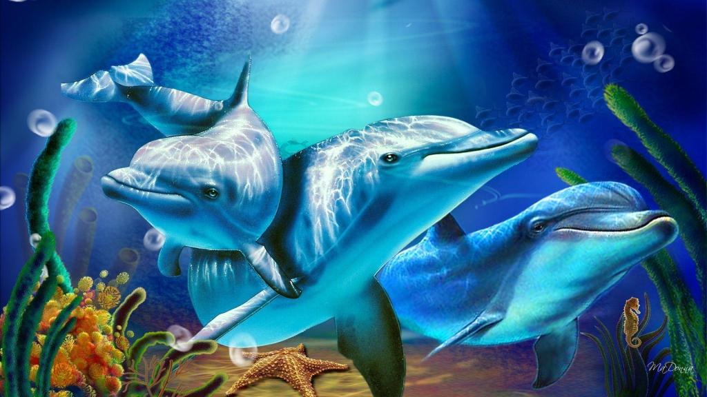 Free – Dolphins!
