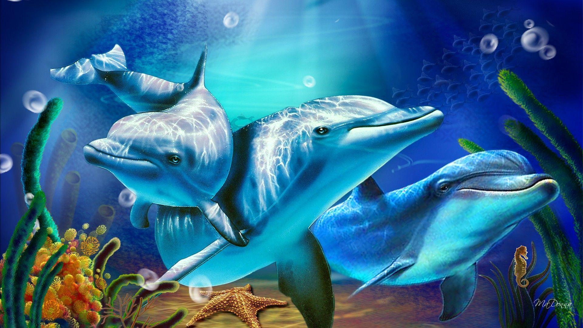 Dolphins one