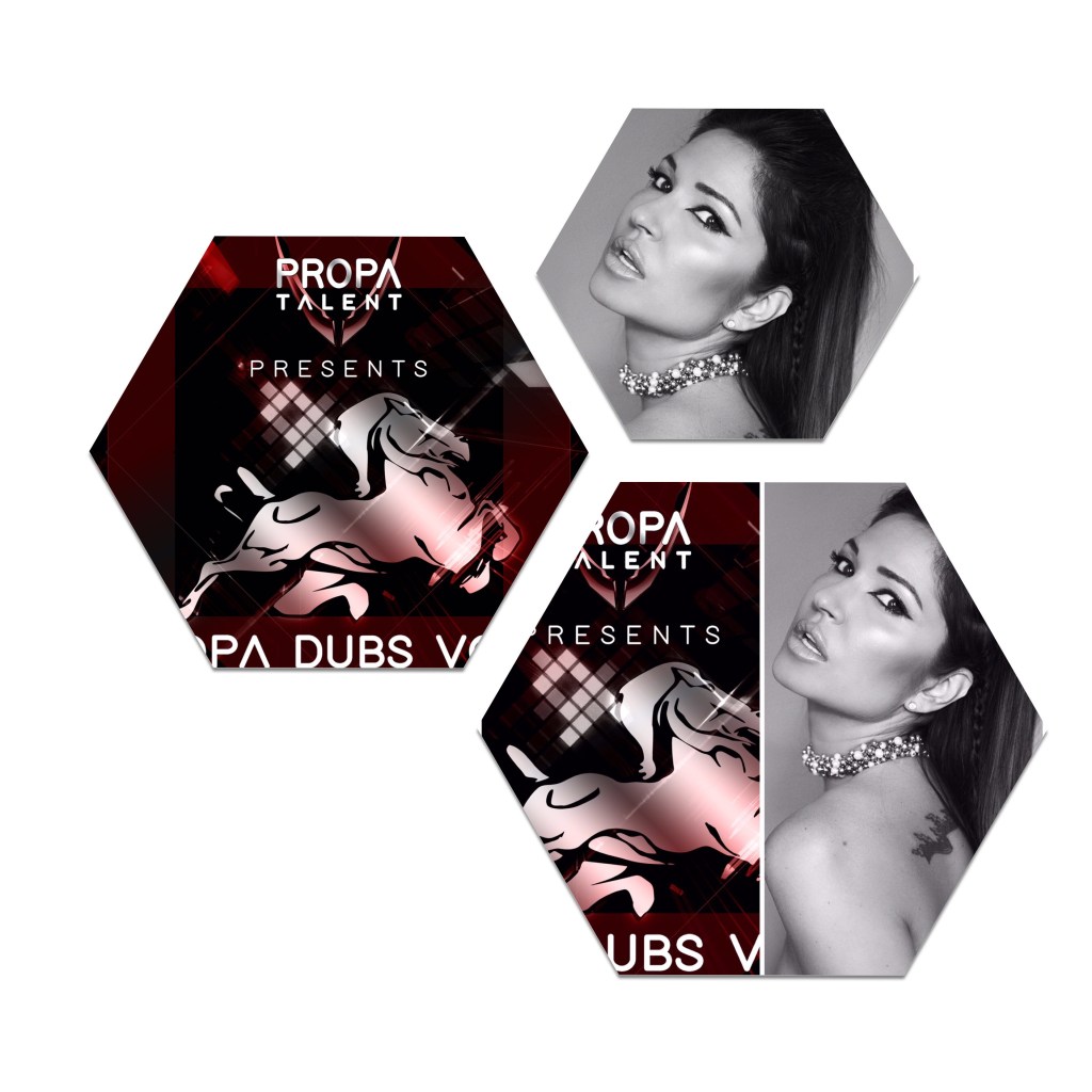 2.	DJ Rap – Propa Dubs 3,vinyl&nbsp;release