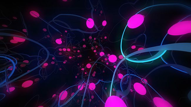 Neon univ