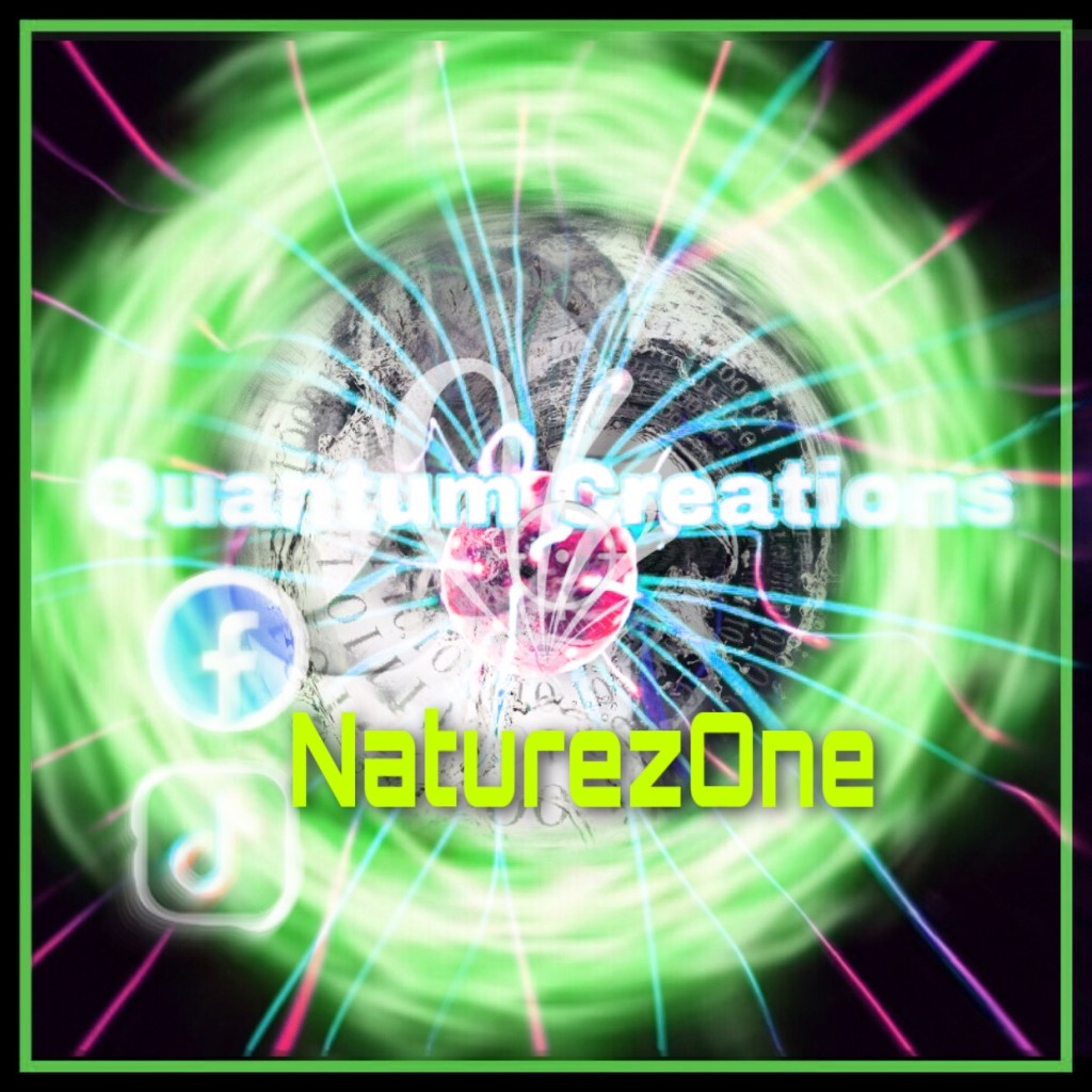 NaturezOne #keepitquantum ✨
